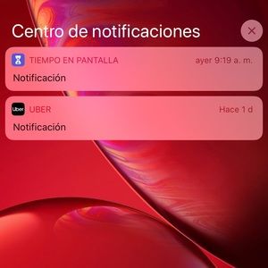 Meet your Posher, Eva